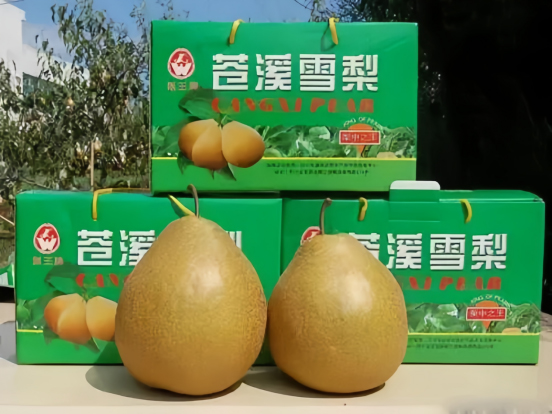 广元苍溪:生态颜值变产值,梨花经济正当时